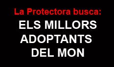 http://www.protectorasabadell.org/condiciones.php