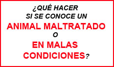 http://es.protectorasabadell.org/contacto.php