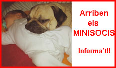http://www.protectorasabadell.org/hacerte_socio.php