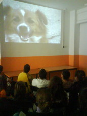 S'inicia el Programa Educatiu