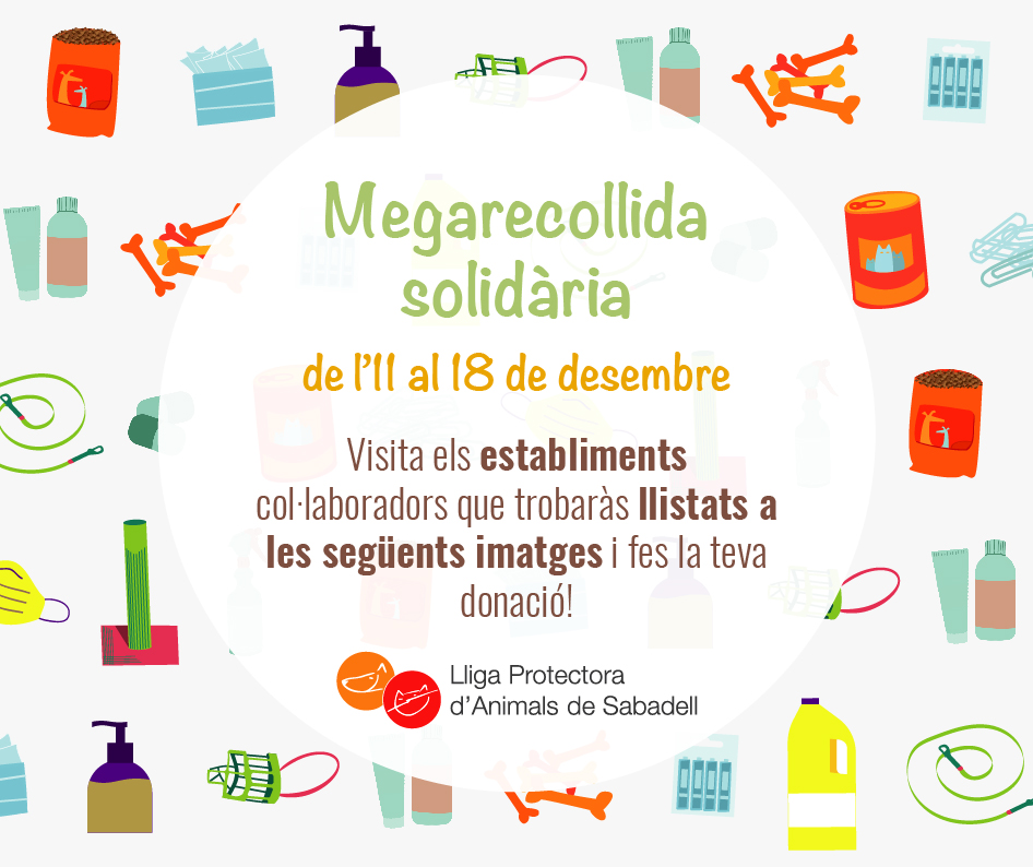Megarecogida 1 Megarecogida 1