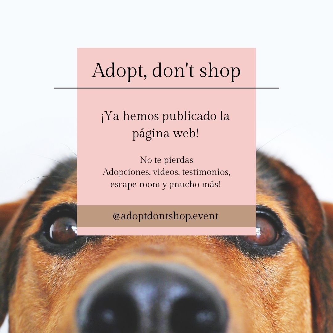 Adopt don shop cast Adopt don shop cast