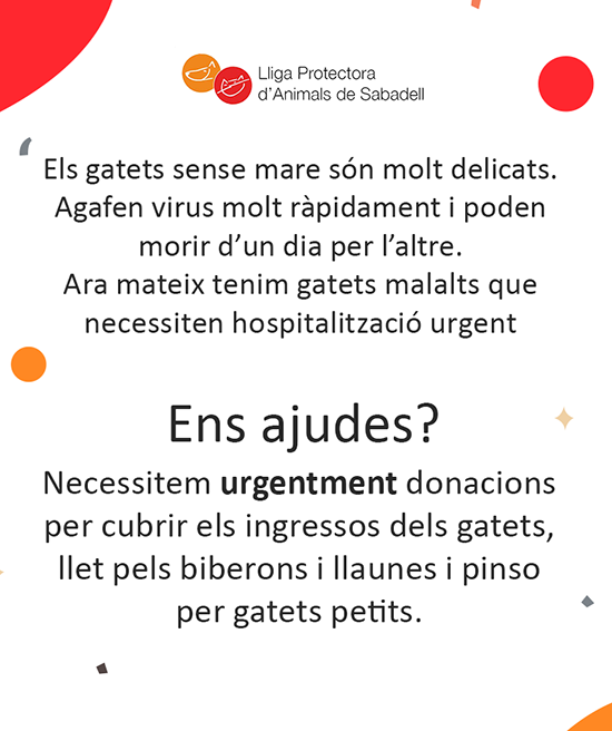 Necesidades gatets Necesidades gatets