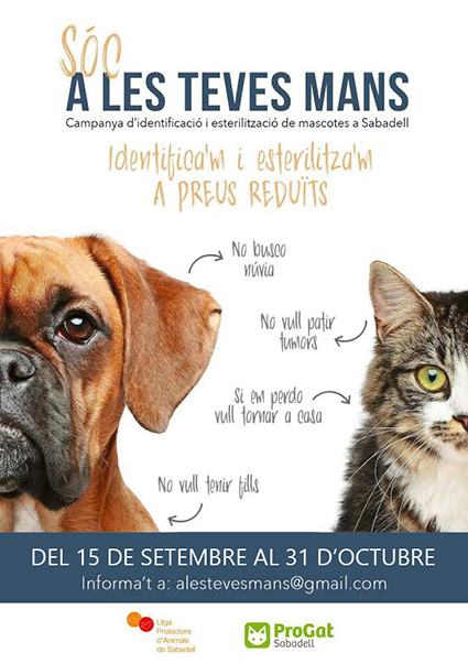 A les teves mans 9-17 A les teves mans 9-17