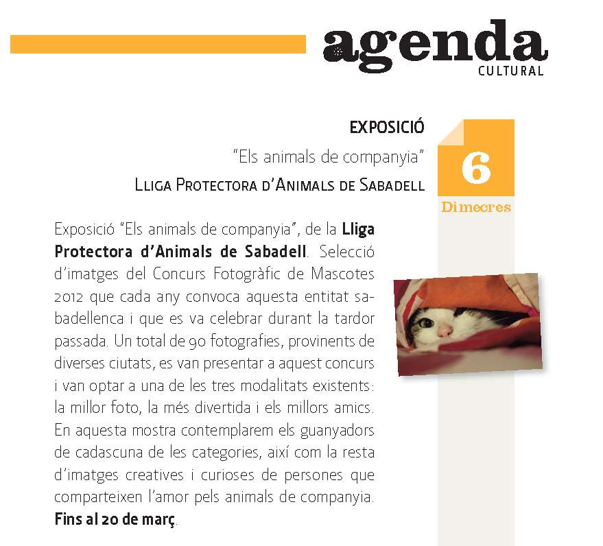 Agenda C.I. Agenda C.I.