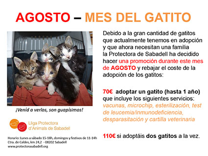 campaña gatets campaña gatets