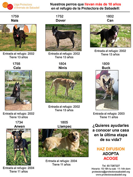 Mas 10 años Mas 10 años