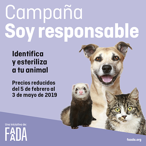 Faada 2019 esp Faada 2019 esp
