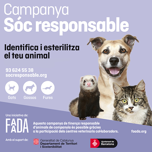 Faada 2019 cat Faada 2019 cat