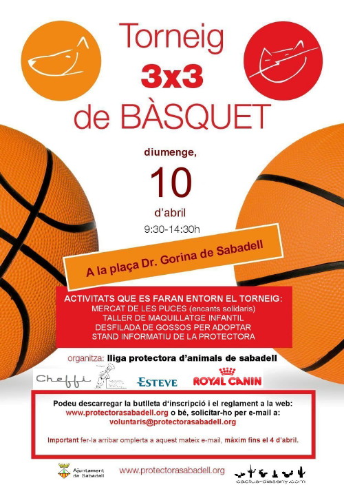 basquet2 basquet2