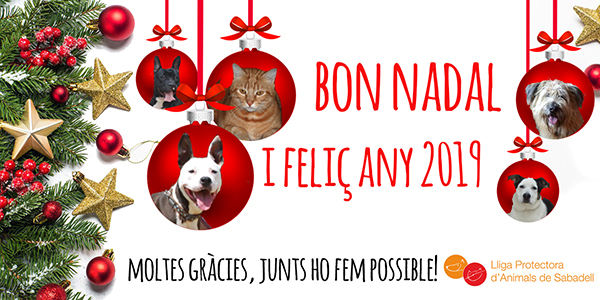 Postal nadal 2018 Postal nadal 2018