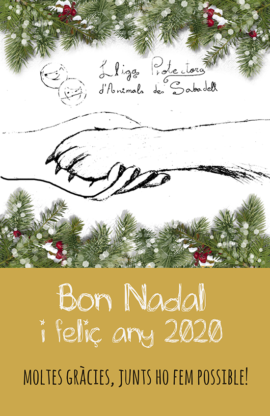 Postal Nadal 2020 Postal Nadal 2020