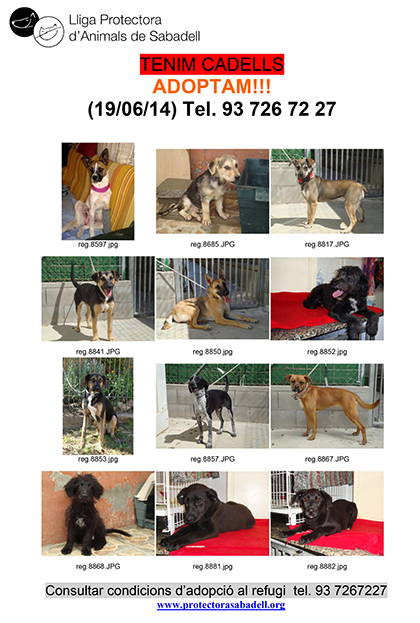 Cadells 140619 Cadells 140619