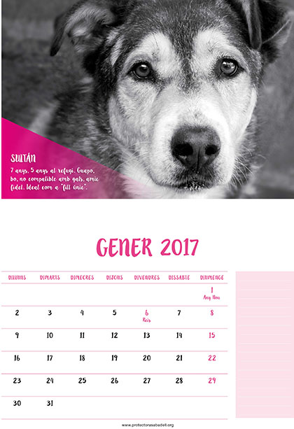 Foto calendari Foto calendari