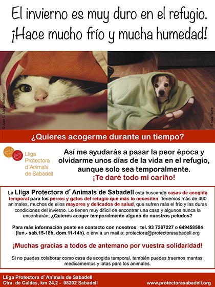 acogidas frio acogidas frio