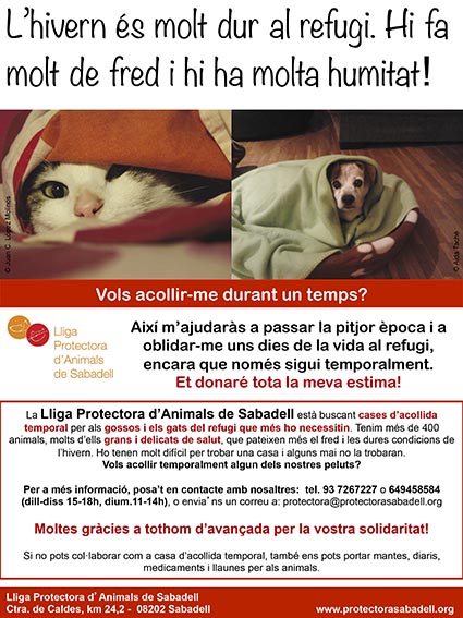 acollides fred acollides fred