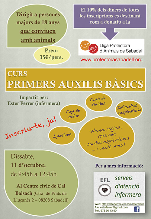 curso ester curso ester