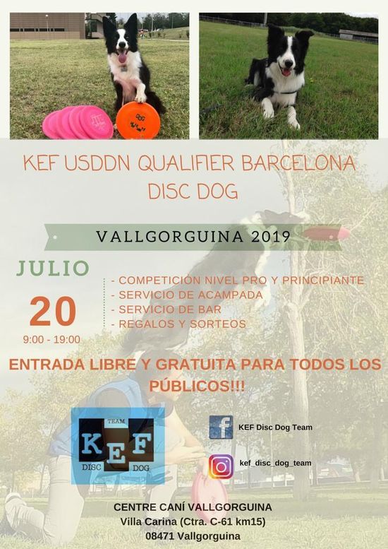 Campeonato Disc Dog Campeonato Disc Dog