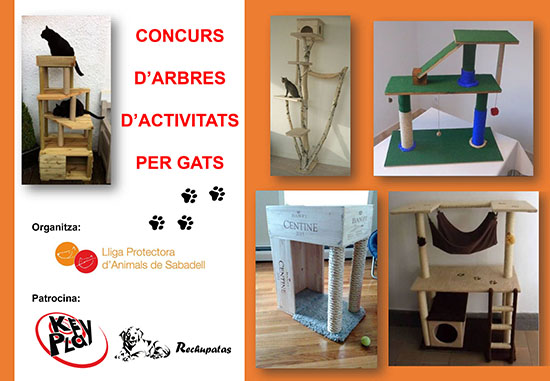 Concurso arboles gats Concurso arboles gats