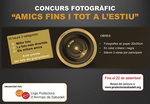 concurso fotos 14 concurso fotos 14