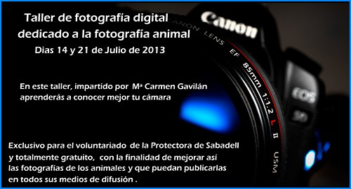 taller fotografico taller fotografico