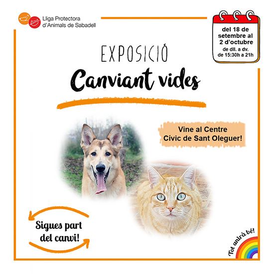 Expo 2 Expo 2