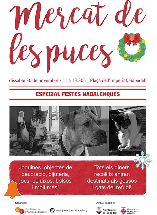 Cartel mercat 11-19 Cartel mercat 11-19