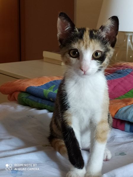 chloe chloe