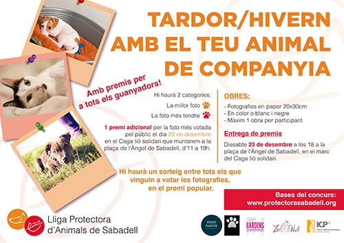 Concurso fotos 2017 Concurso fotos 2017