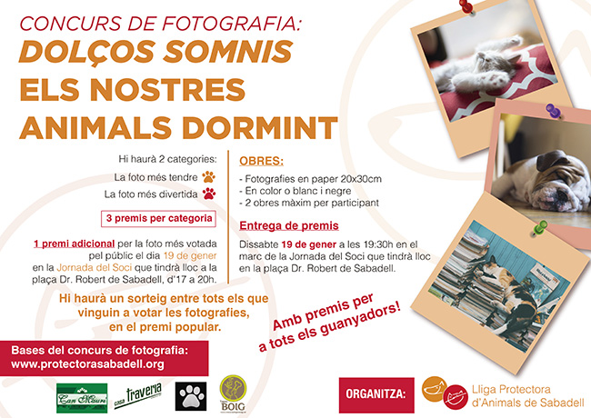 Concurso fotos 2018 Concurso fotos 2018