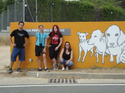 Mural3