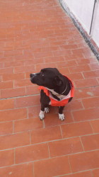 Marquesa3