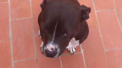 Marquesa5