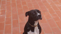 Marquesa6