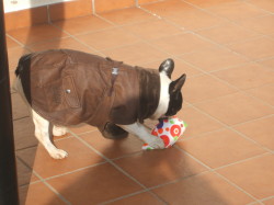 Runy2