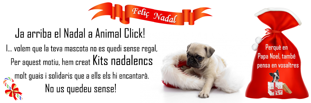 Animalclick cat Animalclick cat