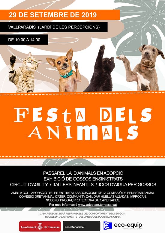 cartel festa Terrassa cartel festa Terrassa