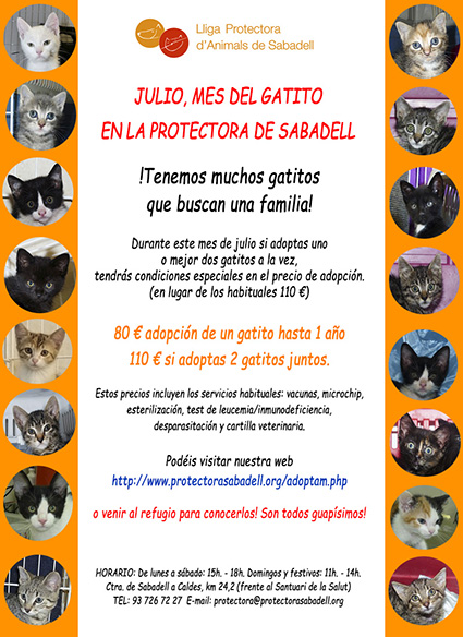 mes gatet mes gatet