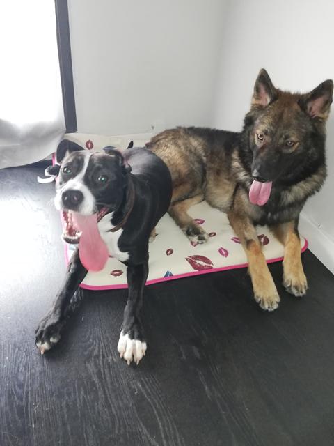 leia y neo 1 leia y neo 1