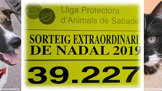 Loteria 2019 Loteria 2019