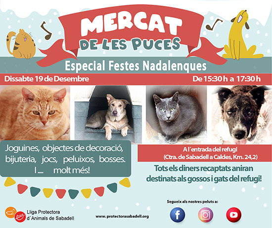Mercat nadal 2020 Mercat nadal 2020