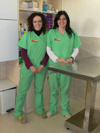 Veterinarios 1 Veterinarios 1