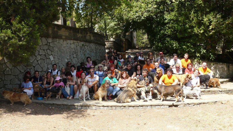 Fiesta Padrins grupo Fiesta Padrins grupo
