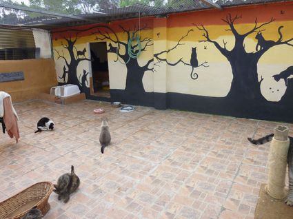 Escola Illa 2 Escola Illa 2