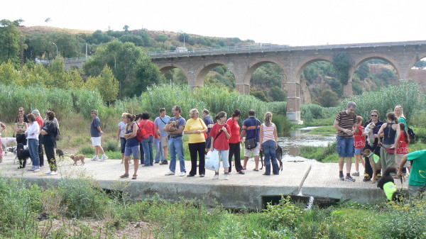 Passejada Festa Passejada Festa