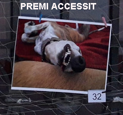 Ganador Accessit 2019 Ganador Accessit 2019