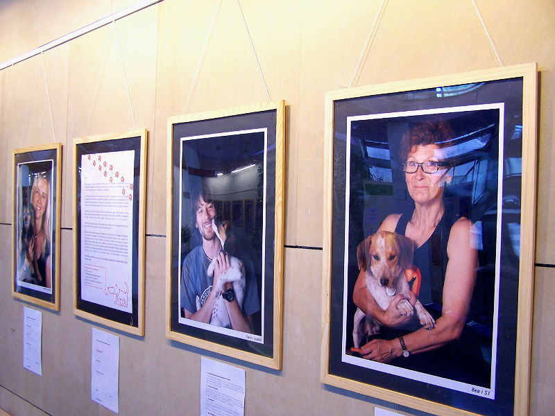 Expo S.Oleguer Expo S.Oleguer