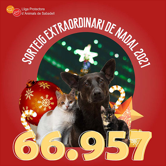 Loteria 2021 Loteria 2021