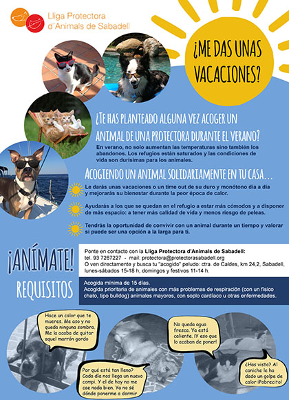 Acogidas verano Acogidas verano