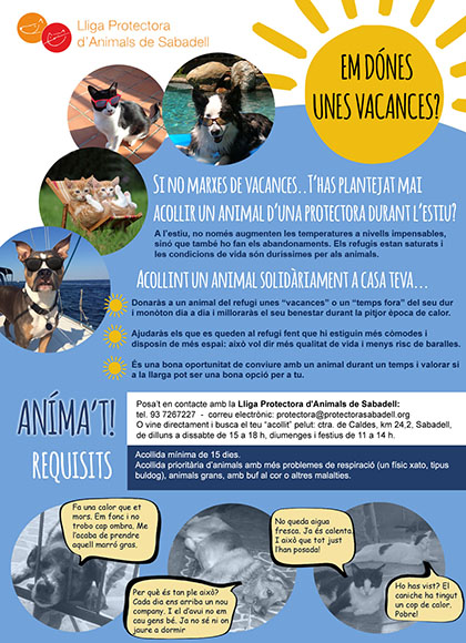 Acollides estiu Acollides estiu